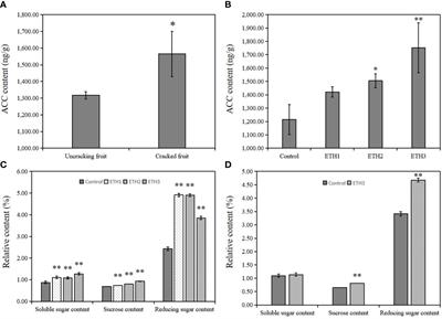 Enhancing the accumulation of linoleic acid and α-linolenic acid through the pre-harvest ethylene treatment in Camellia oleifera